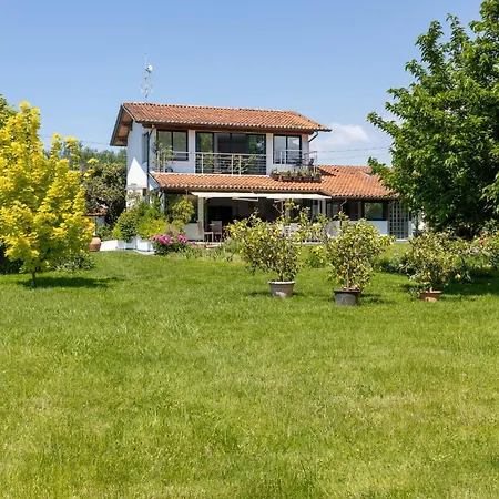 Colmate - Versilia